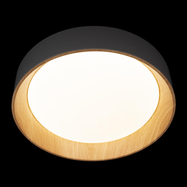 10202 Grey Потолочный светильник LOFT IT Coin, изображение 6