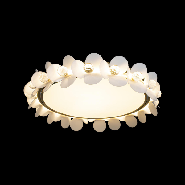 10175 Потолочный светильник LOFT IT Bride, изображение 2