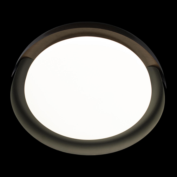 10198 Black Потолочный светильник LOFT IT Coin, изображение 6