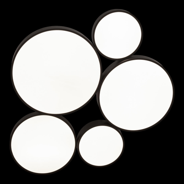 10218 Black Потолочный светильник LOFT IT Drum, изображение 6