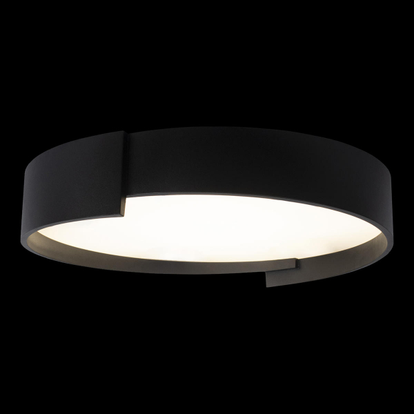 10200 Black Потолочный светильник LOFT IT Coin, изображение 2