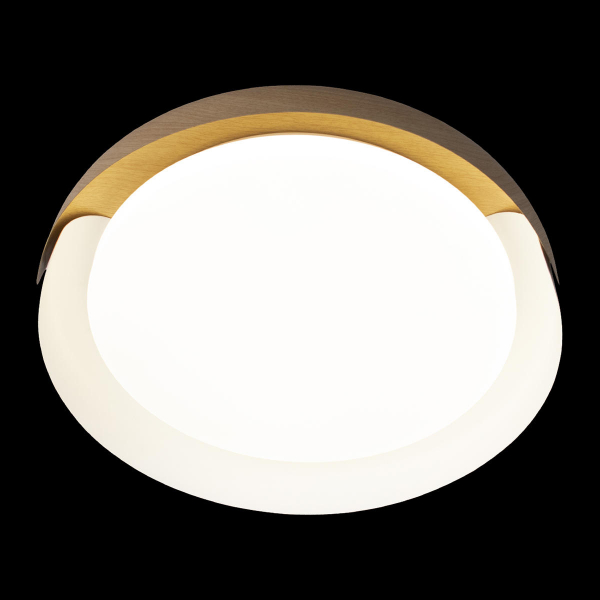 10198 White Потолочный светильник LOFT IT Coin, изображение 6