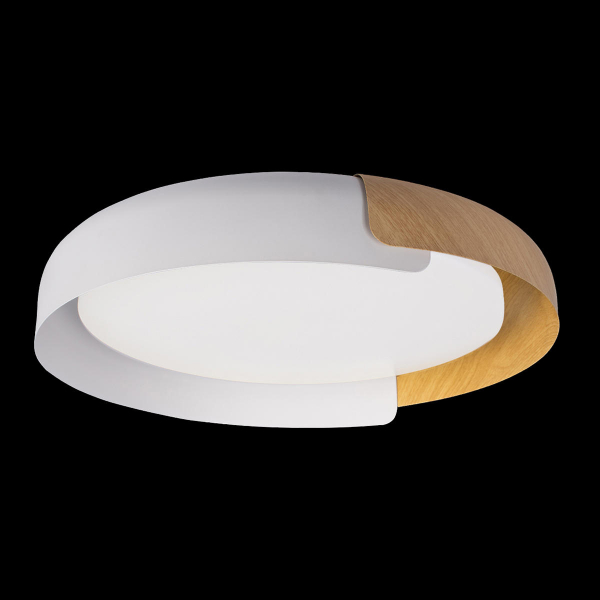 10198 White Потолочный светильник LOFT IT Coin, изображение 2