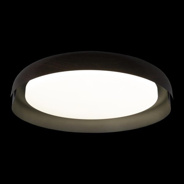 10198 Black Потолочный светильник LOFT IT Coin, изображение 4