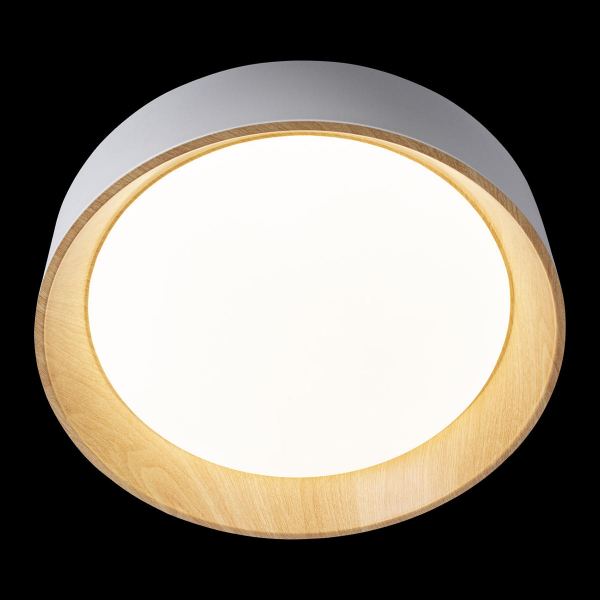 10202 White Потолочный светильник LOFT IT Coin, изображение 4