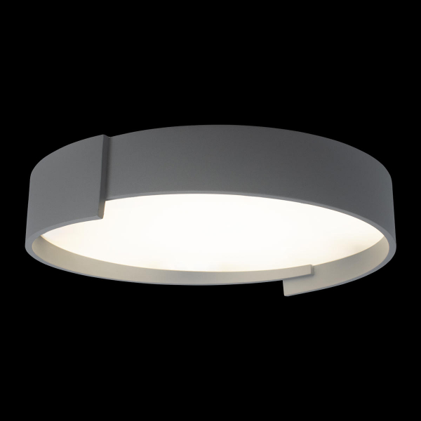 10200 Grey Потолочный светильник LOFT IT Coin, изображение 2