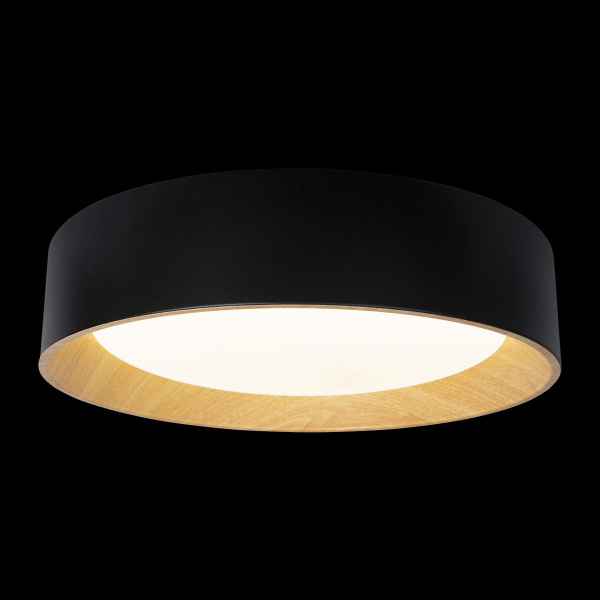 10202 Black Потолочный светильник LOFT IT Coin, изображение 2