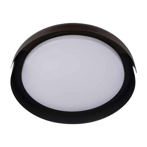 10198 Black Потолочный светильник LOFT IT Coin, изображение 5