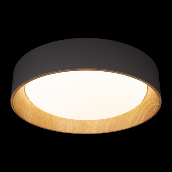 10202 Grey Потолочный светильник LOFT IT Coin, изображение 2
