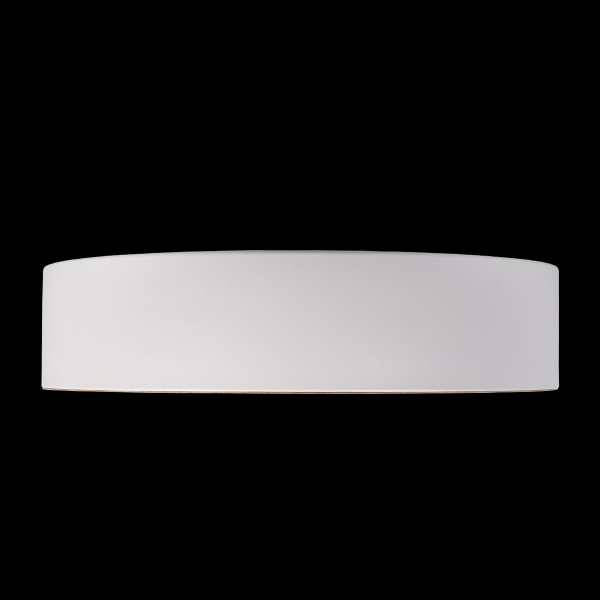 10202 White Потолочный светильник LOFT IT Coin, изображение 5