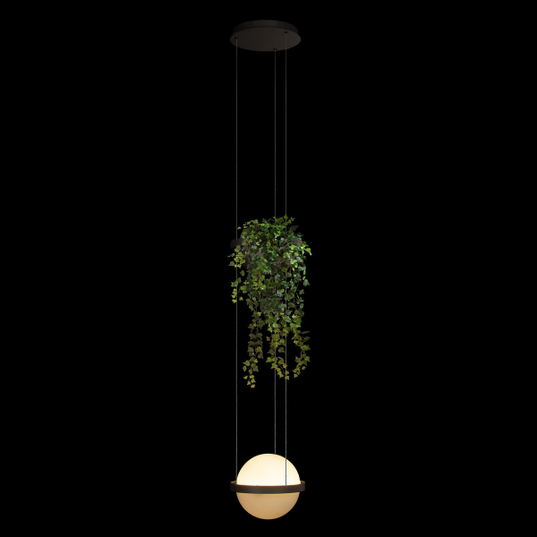 10121/1P Dark grey Подвесной светильник LOFT IT Jardin, изображение 2