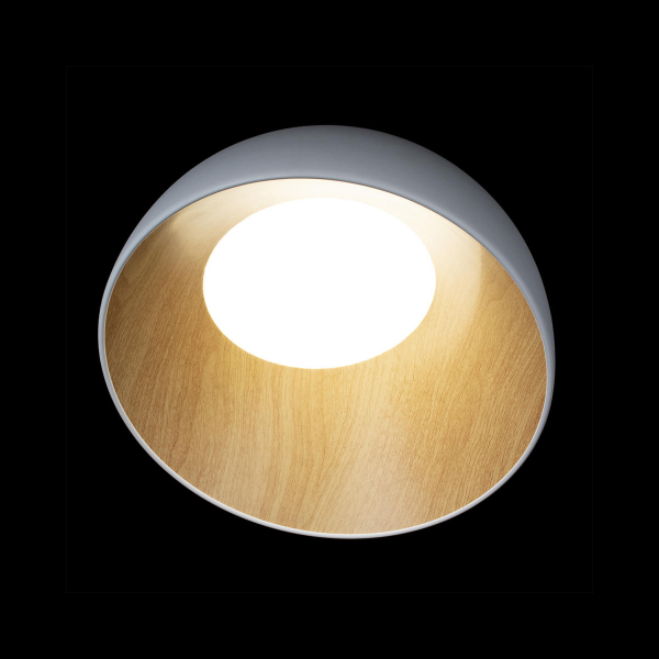 10197/350 White Потолочный светильник LOFT IT Egg, изображение 4
