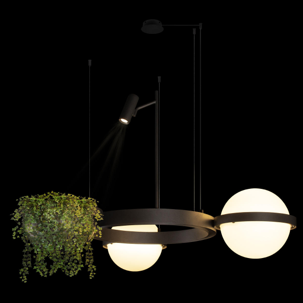 10121/2 Dark grey Подвесной светильник LOFT IT Jardin, изображение 2