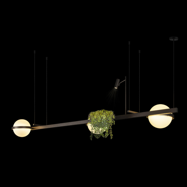10121/C Dark grey Подвесной светильник LOFT IT Jardin, изображение 4