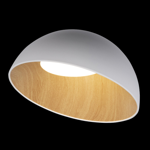 10197/500 White Потолочный светильник LOFT IT Egg, изображение 2