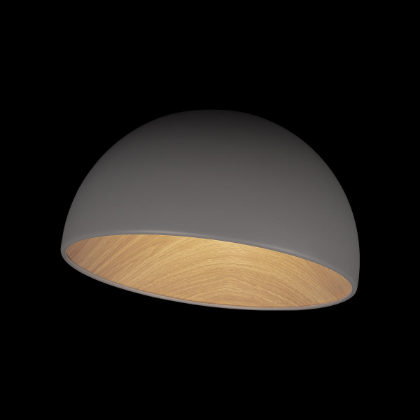 10197/350 Grey Потолочный светильник LOFT IT Egg, изображение 4
