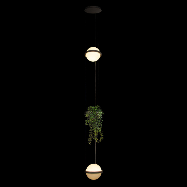10121/2P Dark grey Подвесной светильник LOFT IT Jardin, изображение 2