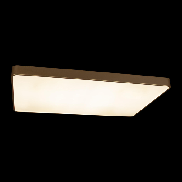 10228/E Потолочный светильник LOFT IT Flims, изображение 2