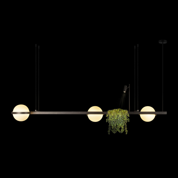 10121/C Dark grey Подвесной светильник LOFT IT Jardin, изображение 2