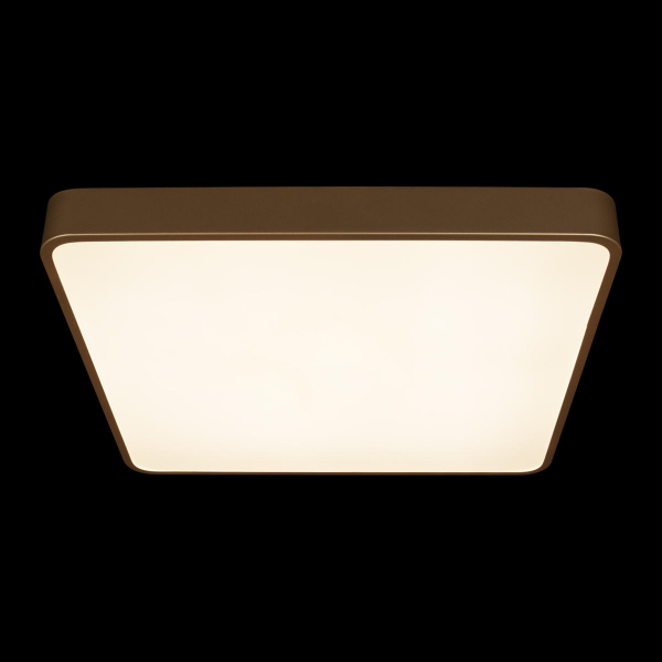 10228/D Потолочный светильник LOFT IT Flims, изображение 6