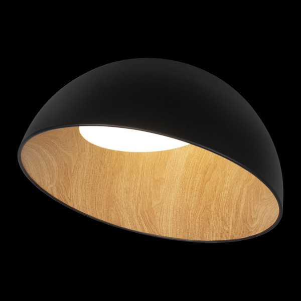 10197/500 Black Потолочный светильник LOFT IT Egg, изображение 2