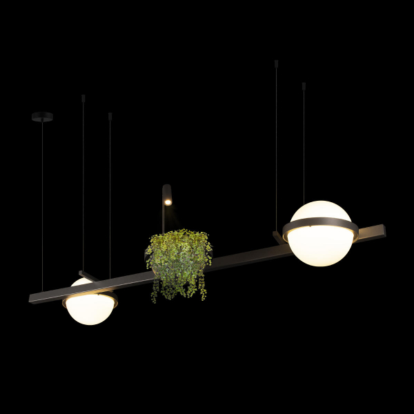 10121/D Dark grey Подвесной светильник LOFT IT Jardin, изображение 4