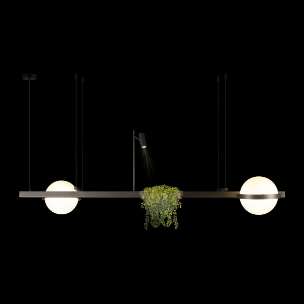 10121/D Dark grey Подвесной светильник LOFT IT Jardin, изображение 2
