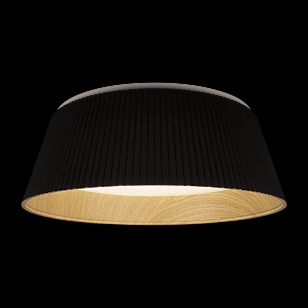 10224 Black Потолочный светильник LOFT IT Evans, изображение 2