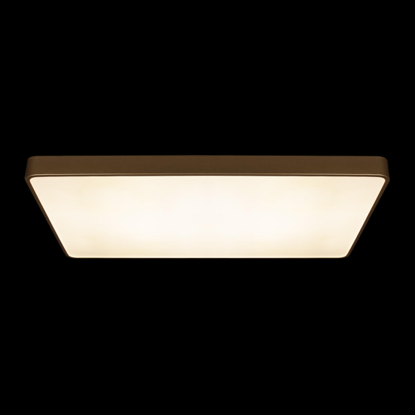 10228/E Потолочный светильник LOFT IT Flims, изображение 6