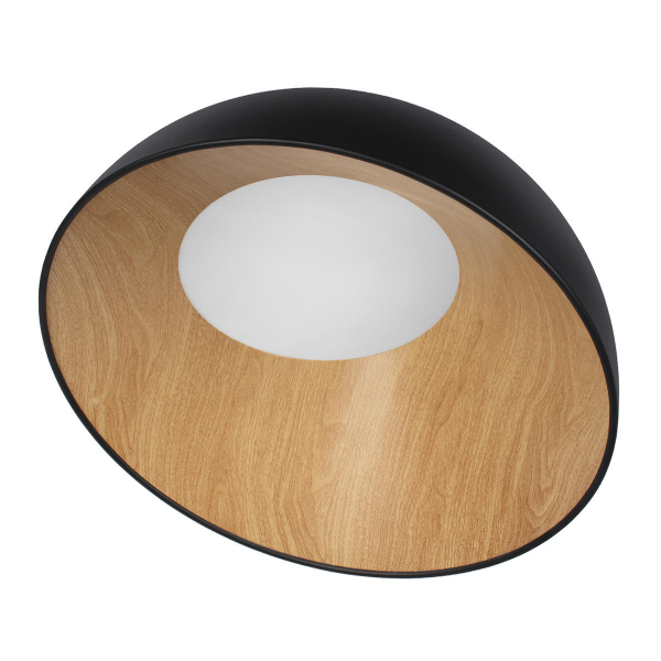 10197/500 Black Потолочный светильник LOFT IT Egg, изображение 3
