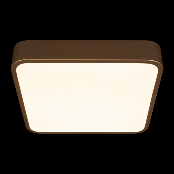 10228/C Потолочный светильник LOFT IT Flims, изображение 6