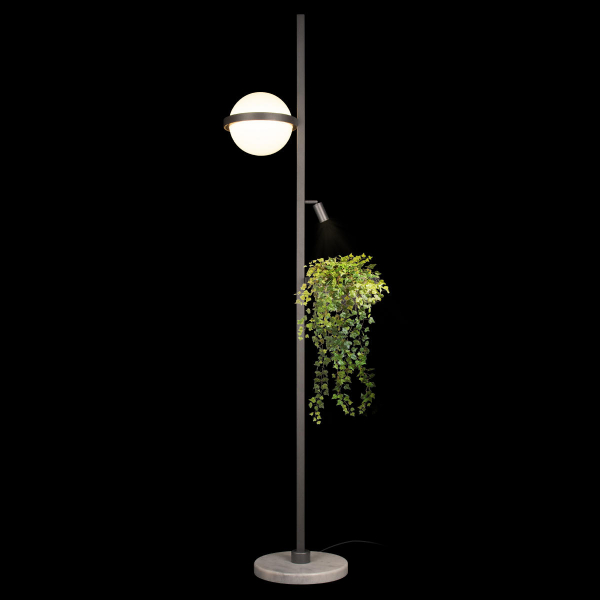 10121/F Dark grey Торшер LOFT IT Jardin, изображение 4
