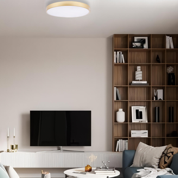 10228/B Потолочный светильник LOFT IT Flims, изображение 7