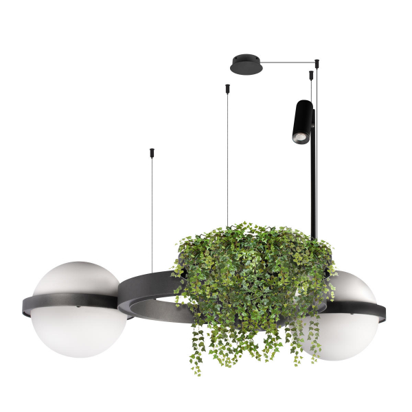 10121/2 Dark grey Подвесной светильник LOFT IT Jardin, изображение 3