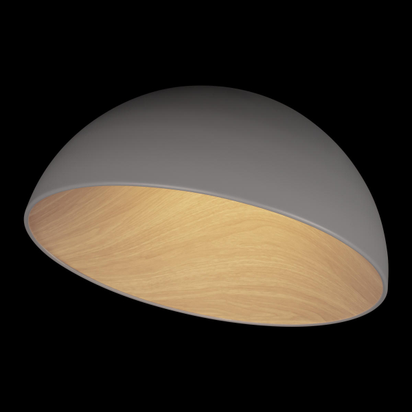 10197/500 Grey Потолочный светильник LOFT IT Egg, изображение 4