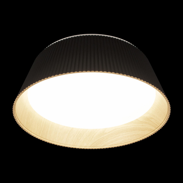 10224 Black Потолочный светильник LOFT IT Evans, изображение 4