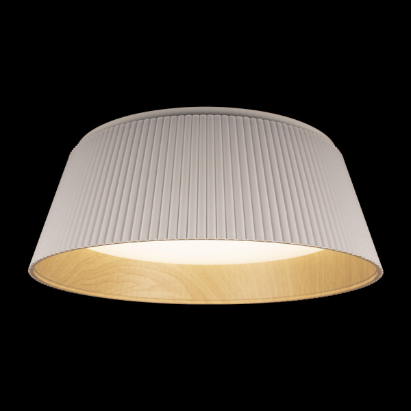 10224 White Потолочный светильник LOFT IT Evans, изображение 2