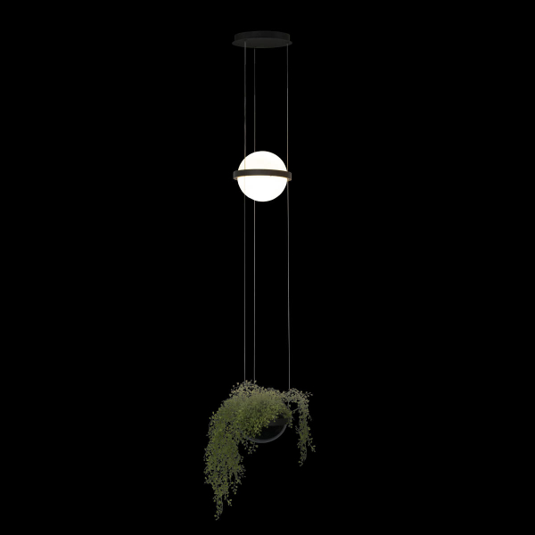 10121/B Подвесной светильник LOFT IT Jardin, изображение 2