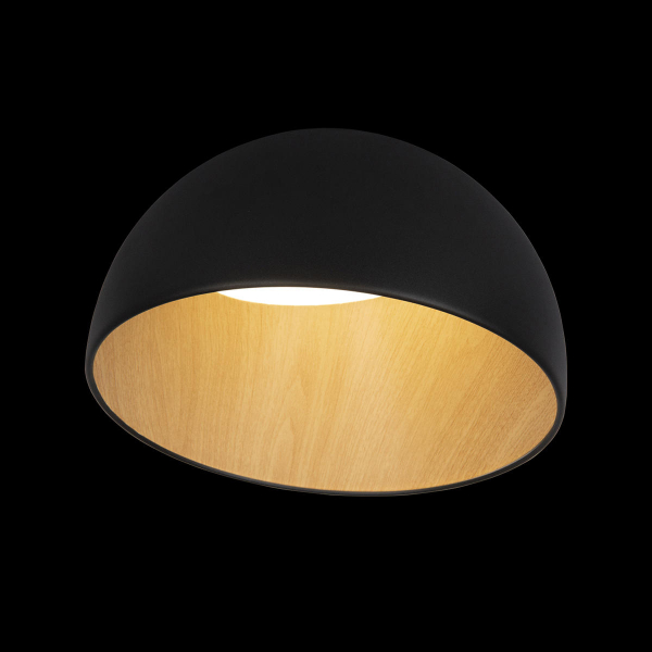 10197/350 Black Потолочный светильник LOFT IT Egg, изображение 2