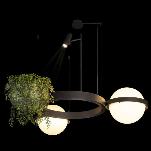 10121/2 Dark grey Подвесной светильник LOFT IT Jardin, изображение 6