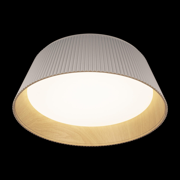10224 White Потолочный светильник LOFT IT Evans, изображение 4