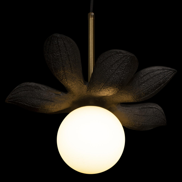 10213/B Black Подвесной светильник LOFT IT Monro, изображение 4