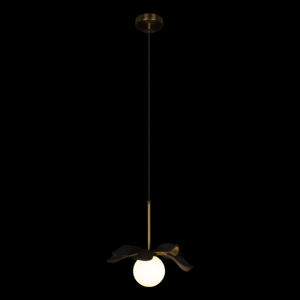 10213/A Black Подвесной светильник LOFT IT Monro, изображение 2