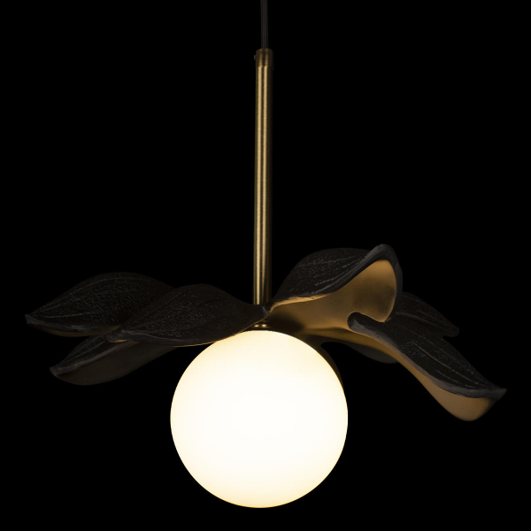 10213/A Black Подвесной светильник LOFT IT Monro, изображение 4
