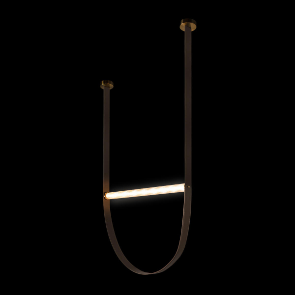 10221/1250 Подвесной светильник LOFT IT Liana, изображение 2