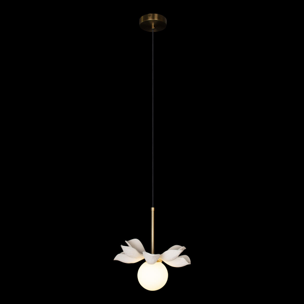 10213/B White Подвесной светильник LOFT IT Monro, изображение 2