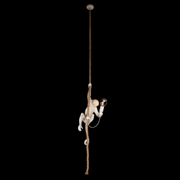 10314P Подвесной светильник LOFT IT Monkey, изображение 4