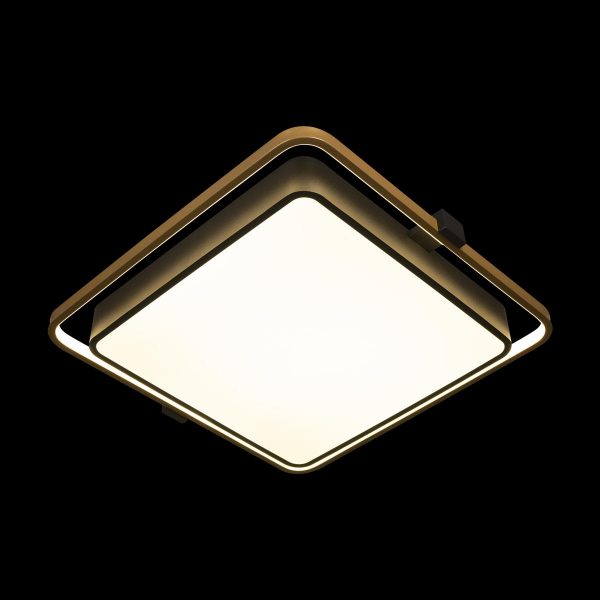 10172 Потолочный светильник LOFT IT Mike, изображение 2