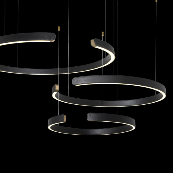 10025/3 Black Подвесной светильник LOFT IT Ring, изображение 4