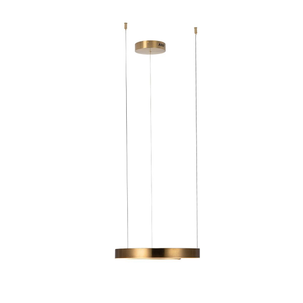 10013S Подвесной светильник LOFT IT Ring, изображение 3